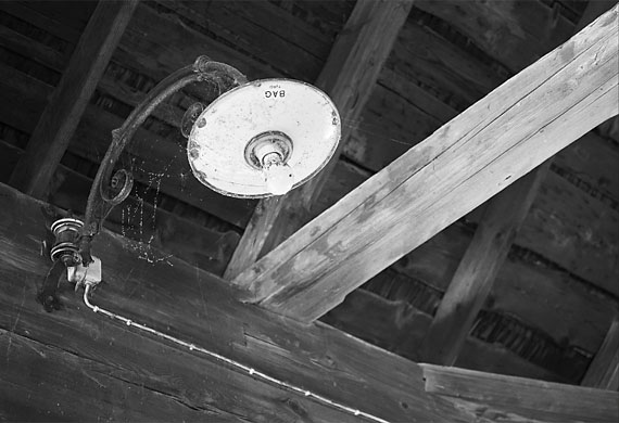 Das Unscheinbare am Wegrand