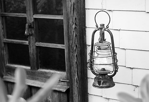 Das Unscheinbare am Wegrand