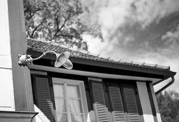 Das Unscheinbare am Wegrand