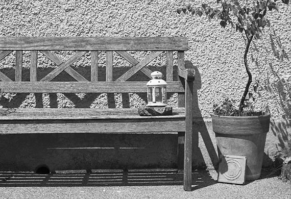 Das Unscheinbare am Wegrand