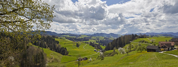 Panoramas aus dem Toggenburg
