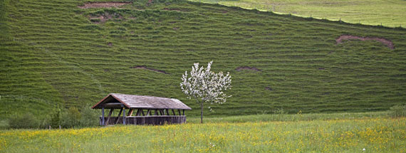 Panoramas aus dem Toggenburg