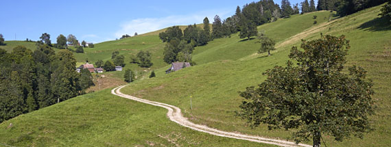 Panoramas aus dem Toggenburg