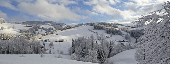 Panoramas aus dem Toggenburg