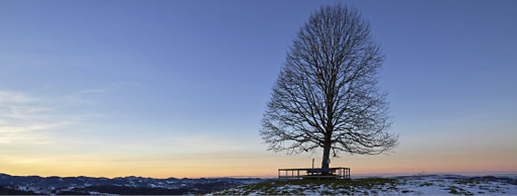 Panoramas aus dem Toggenburg