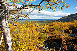 Bildstrecke Schwedische Nationalparks