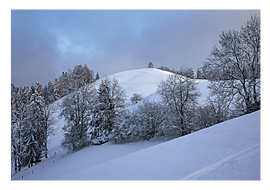 Alp Wimpfel, Ebersol, Neckertal