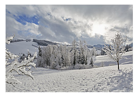 Ebersol, Winter, Neckertal
