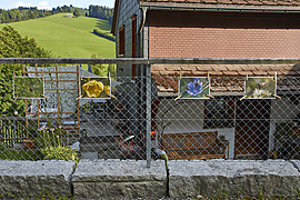 Sommergalerie Christian Weidmann