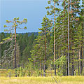 Schwedische Nationalparks SNP