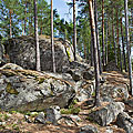 Schwedischer Nationalpark Tiveden