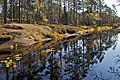 Postkarte Schwedischer Nationalpark Tresticklan